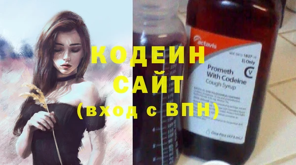 шишки Богородицк